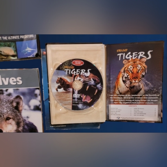 EDUCATIONAL LOT 12 CHILDREN/YOUNG READER BOOKS ~ SHARKS ~ WILDLIFE ~ SCHOLASTIC - Picture 4 of 5